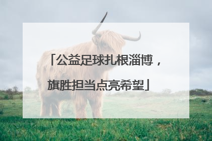 公益足球扎根淄博，旗胜担当点亮希望