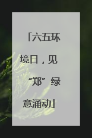 六五环境日，见“郑”绿意涌动