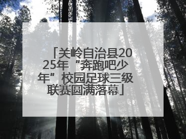 关岭自治县2025年“奔跑吧少年”校园足球三级联赛圆满落幕