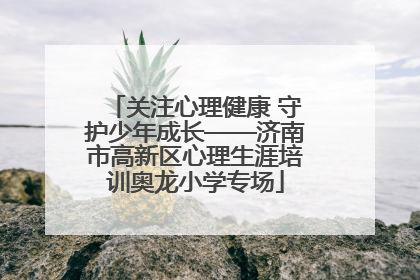 关注心理健康 守护少年成长——济南市高新区心理生涯培训奥龙小学专场