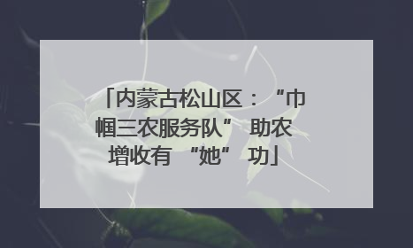 内蒙古松山区：“巾帼三农服务队” 助农增收有 “她” 功
