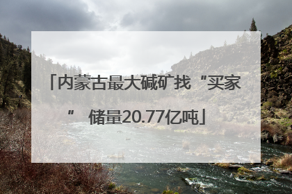 内蒙古最大碱矿找“买家” 储量20.77亿吨