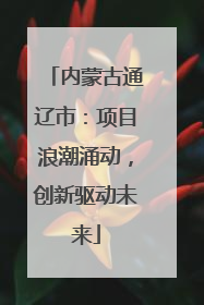 内蒙古通辽市：项目浪潮涌动，创新驱动未来
