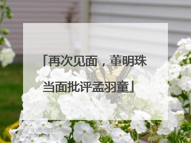 再次见面，董明珠当面批评孟羽童