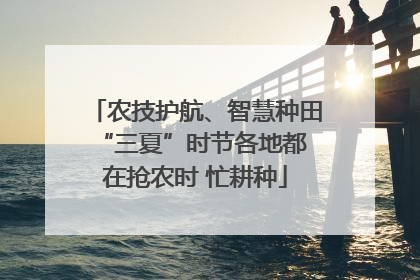 农技护航、智慧种田 “三夏”时节各地都在抢农时 忙耕种