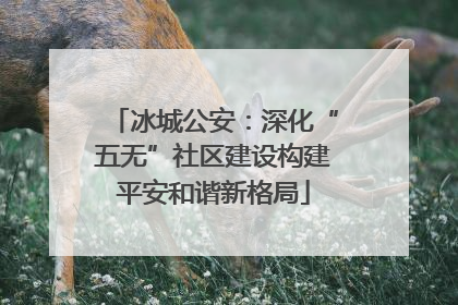 冰城公安：深化“五无”社区建设构建平安和谐新格局