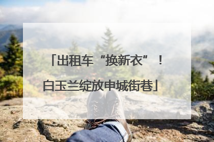 出租车“换新衣”！白玉兰绽放申城街巷