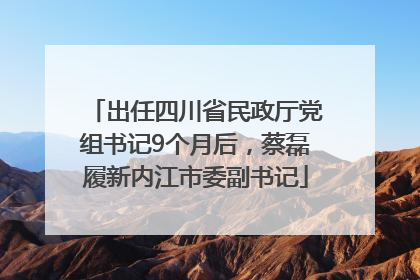 出任四川省民政厅党组书记9个月后，蔡磊履新内江市委副书记