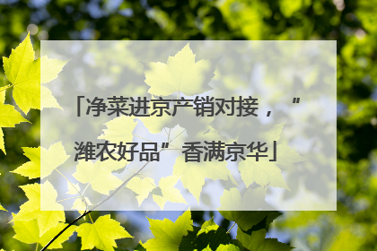 净菜进京产销对接，“潍农好品”香满京华