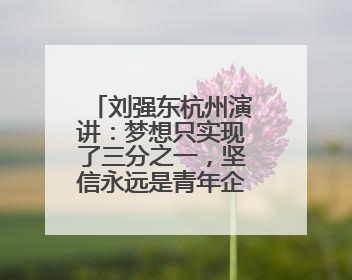 刘强东杭州演讲：梦想只实现了三分之一，坚信永远是青年企业家