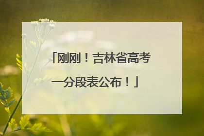 刚刚！吉林省高考一分段表公布！