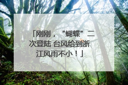 刚刚，“蝴蝶”二次登陆 台风给到浙江风雨不小！