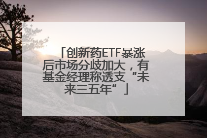 创新药ETF暴涨后市场分歧加大，有基金经理称透支“未来三五年”