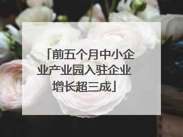 前五个月中小企业产业园入驻企业增长超三成