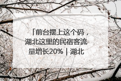 前台摆上这个码，湖北这里的民宿客流量增长20%｜湖北市场监管所的故事