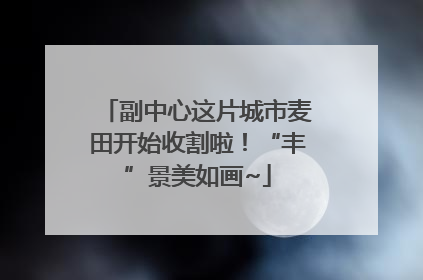 副中心这片城市麦田开始收割啦！“丰”景美如画~