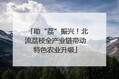 助“荔”振兴！北流荔枝全产业链带动特色农业升级