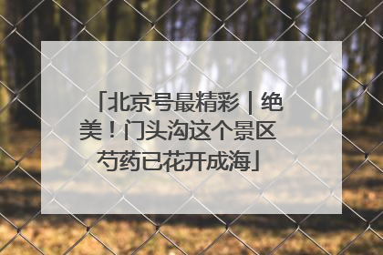 北京号最精彩｜绝美！门头沟这个景区芍药已花开成海