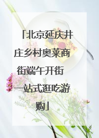 北京延庆井庄乡村奥莱商街端午开街 一站式逛吃游购