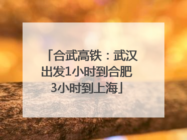 合武高铁：武汉出发1小时到合肥3小时到上海