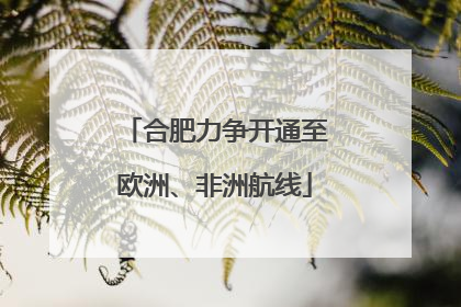 合肥力争开通至欧洲、非洲航线