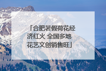 合肥暑假荷花经济红火 全国多地花艺文创销售旺
