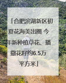 合肥滨湖新区初夏花海美出圈 今年新种植草花、播撒花籽约6.5万平方米