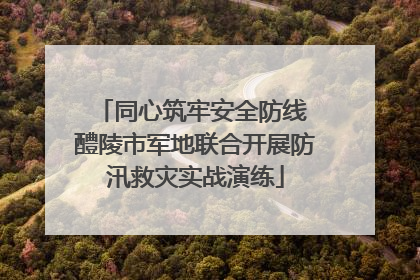 同心筑牢安全防线 醴陵市军地联合开展防汛救灾实战演练