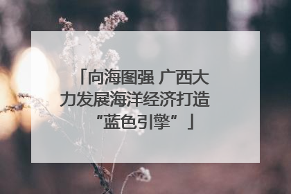 向海图强 广西大力发展海洋经济打造“蓝色引擎”
