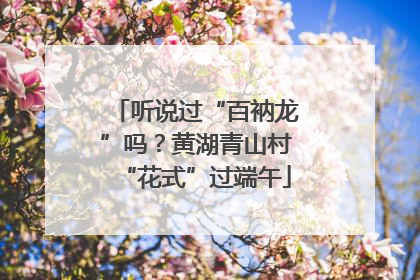 听说过“百衲龙”吗？黄湖青山村“花式”过端午