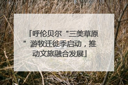 呼伦贝尔“三美草原”游牧迁徙季启动，推动文旅融合发展