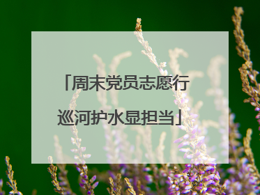 周末党员志愿行 巡河护水显担当
