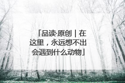 品读·原创｜在这里，永远想不出会遇到什么动物