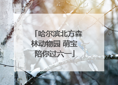 哈尔滨北方森林动物园 萌宝陪你过六一
