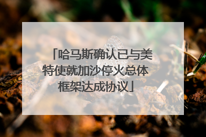 哈马斯确认已与美特使就加沙停火总体框架达成协议