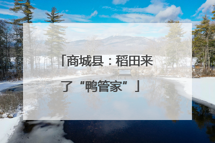 商城县：稻田来了“鸭管家”