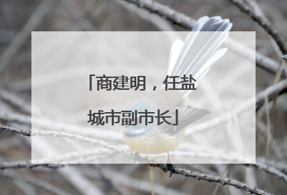 商建明，任盐城市副市长
