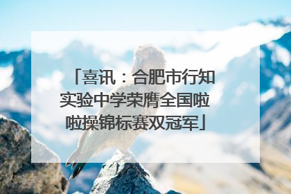 喜讯：合肥市行知实验中学荣膺全国啦啦操锦标赛双冠军