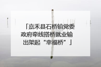 嘉禾县石桥镇党委政府牵线搭桥就业输出架起“幸福桥”