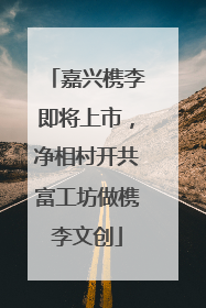 嘉兴槜李即将上市，净相村开共富工坊做槜李文创