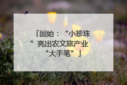 固始：“小珍珠”亮出农文旅产业“大手笔”