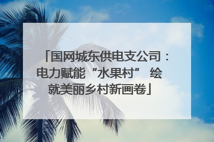 国网城东供电支公司：电力赋能“水果村” 绘就美丽乡村新画卷