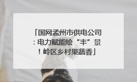 国网孟州市供电公司：电力赋能绘“丰”景！岭区乡村果蔬香