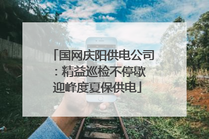 国网庆阳供电公司：精益巡检不停歇 迎峰度夏保供电