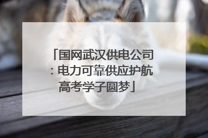 国网武汉供电公司：电力可靠供应护航高考学子圆梦