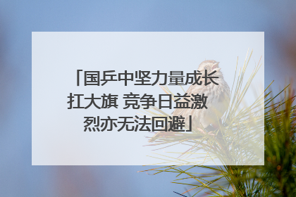 国乒中坚力量成长扛大旗 竞争日益激烈亦无法回避