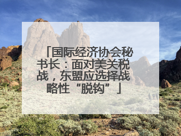 国际经济协会秘书长：面对美关税战，东盟应选择战略性“脱钩”