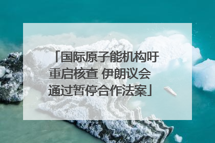 国际原子能机构吁重启核查 伊朗议会通过暂停合作法案