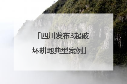 四川发布3起破坏耕地典型案例