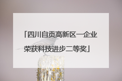 四川自贡高新区一企业荣获科技进步二等奖